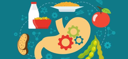 Jak poprawić trawienie?