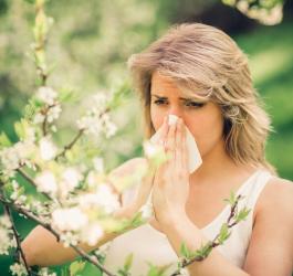 Kalendarz alergika: co pyli w kwietniu?