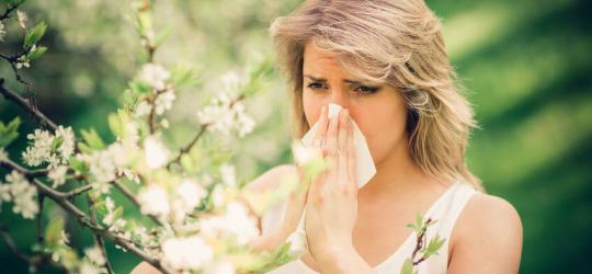 Kalendarz alergika: co pyli w kwietniu?