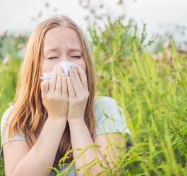 Kalendarz alergika: co pyli w lipcu?