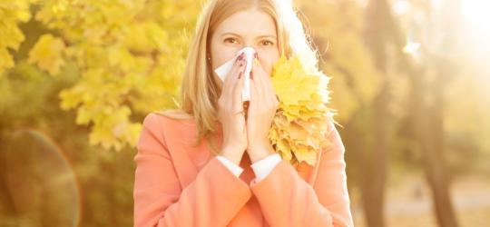 Kalendarz alergika: co pyli we wrześniu?