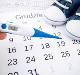 kalendarz dni płodnych