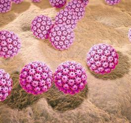 Grafika 3D wirusa HPV wywołującego kłykciny kończyste.