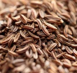 Owoce kminku zwyczajnego.