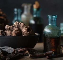 korzeń żywokostu 1