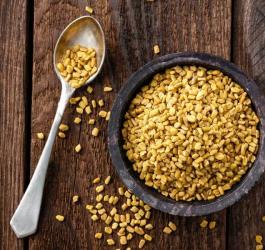 Kozieradka - właściwości i zastosowania