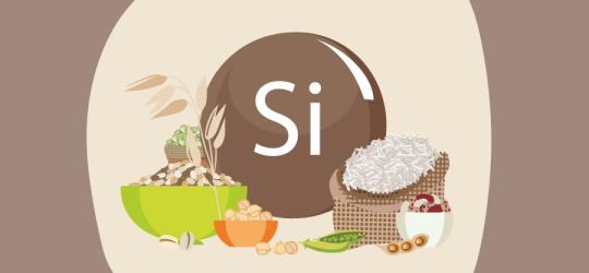 Symbol krzemu Si i jego źródła w diecie - zboża, kasze, orzechy, strączki.