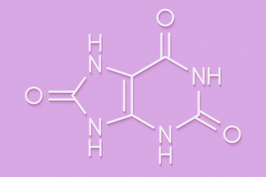 Wzór chemiczny kwasu moczowego.