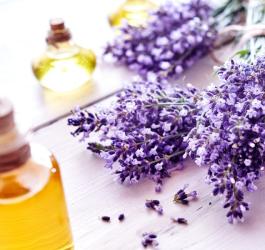 Lawenda na uspokojenie i ból