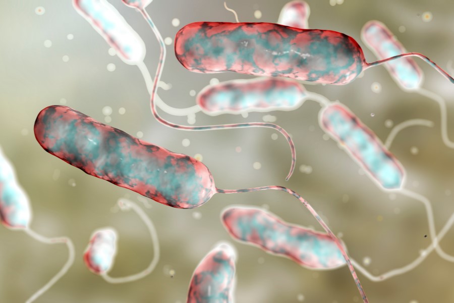 Model 3D bakterii Legionella pneumophilia.