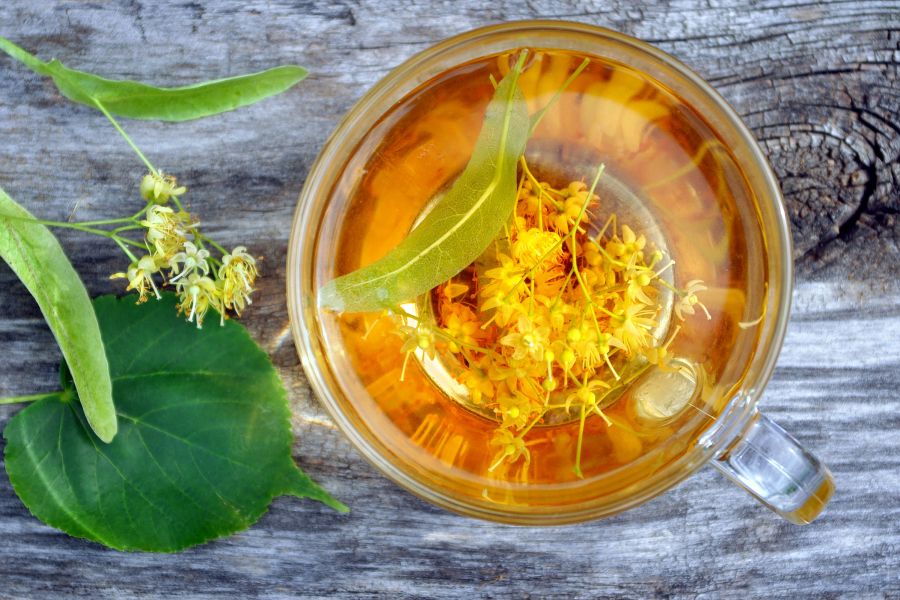 Lipa – właściwości lecznicze kwiatu lipy