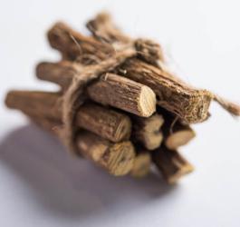 Korzenie lukrecji gładkiej.