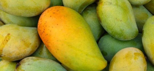 Owoc afrykańskiego mango.