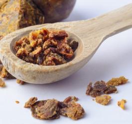 Kawałki propolisu, z którego przygotowuje się m.in. maść propolisową.