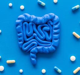Model ludzkich jelit, wokół rozsypane kapsułki tabletki na choroby jelit.