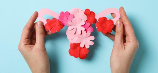 Kobieta trzyma w dłoniach papierowy model macicy udekorowany kwiatami.