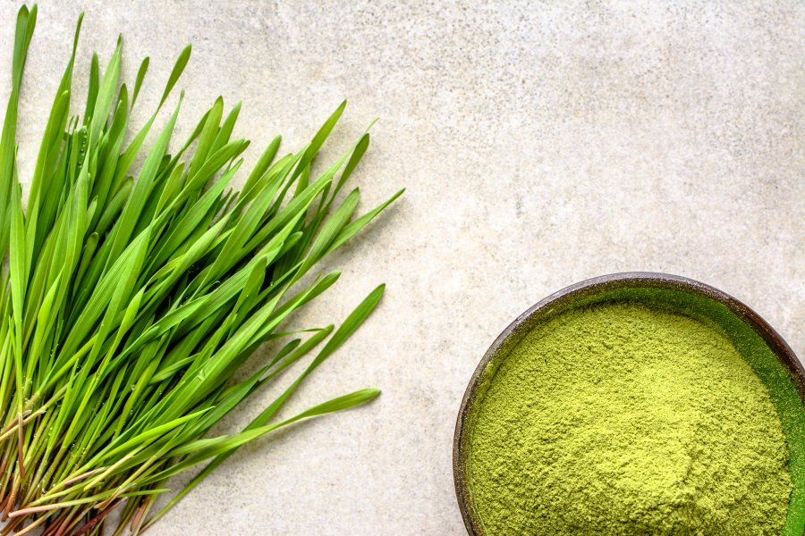 Młody jęczmień - czy warto stosować?