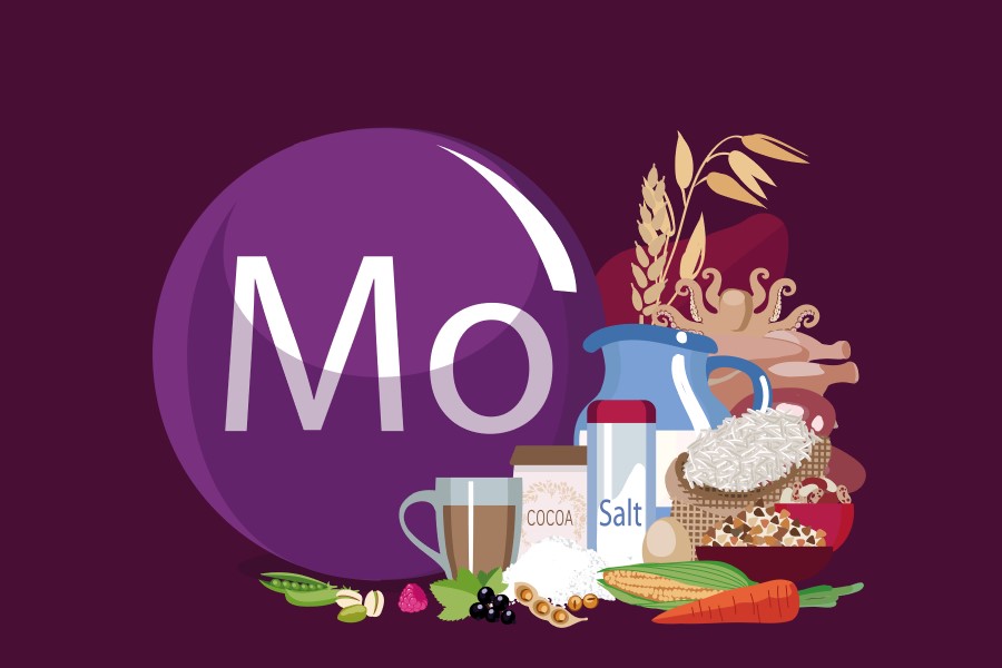 Cząsteczka molibdenu i produkty spożywcze zawierające ten pierwiastek.