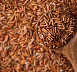 Czerwony ryż z którego pozyskuje się monakolinę K.