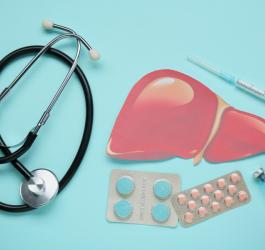 Model wątroby obok leków i stetoskopu.