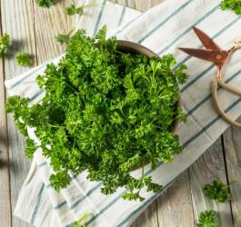 Natka pietruszki na tle biało-niebieskiej ściereczki i drewnianego blatu.