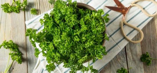 Natka pietruszki na tle biało-niebieskiej ściereczki i drewnianego blatu.