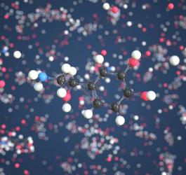 Cząsteczka noradrenaliny.