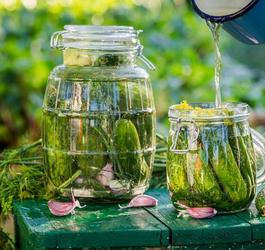 ogórki kiszone naturalne probiotyki