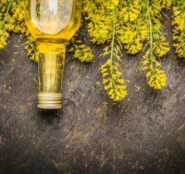 Olej rzepakowy - najważniejsze właściwości zdrowotne