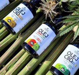 Oleje CBD o różnym stężeniu.