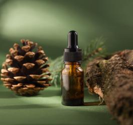 Buteleczka olejku pichtowego, obok gałązka sosny i szyszka.
