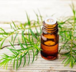 Buteleczka olejku z drzewa herbacianego na drewnianym blacie, obok listki drzewa herbacianego.