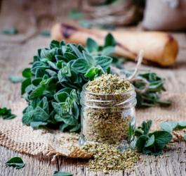 Świeże listki oraz suszone oregano w słoiczku.