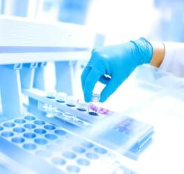 Polski lek na koronawirusa