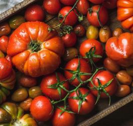 Pomidory - właściwości i zastosowanie w kuchni