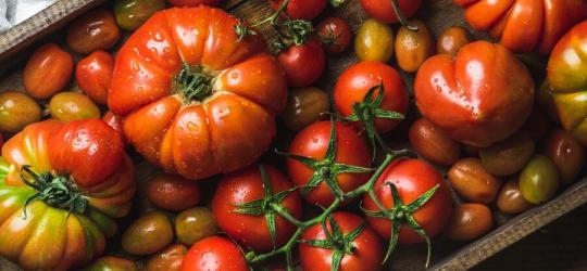 Pomidory - właściwości i zastosowanie w kuchni