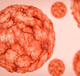 Model komórki rakowej.