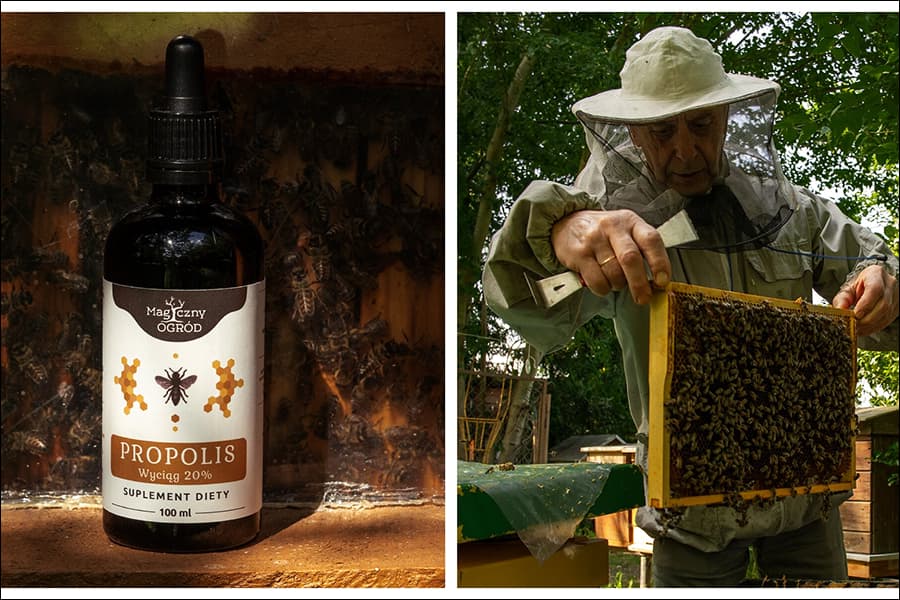 Propolis na odporność - naturalne wsparcie w sezonie przeziębień