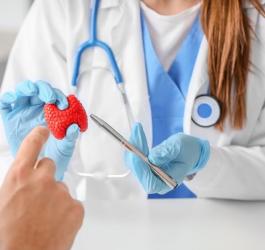 Lekarka wyjaśniająca pacjentowi budowę tarczycy na podstawie plastikowego modelu.