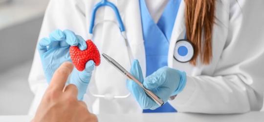 Lekarka wyjaśniająca pacjentowi budowę tarczycy na podstawie plastikowego modelu.