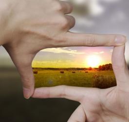 Kobiece dłonie wykonujące gest kadrowania.