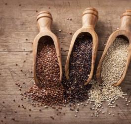 Trzy rodzaje quinoa (komosy ryżowej) w drewnianych łopatkach i częściowo rozsypane na blacie.