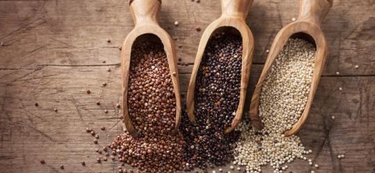 Trzy rodzaje quinoa (komosy ryżowej) w drewnianych łopatkach i częściowo rozsypane na blacie.