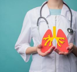 Lekarka trzyma w rękach papierowy model płuc.