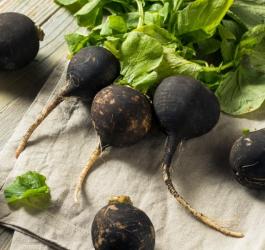 Bulwy rzodkwi czarnej z nacią.