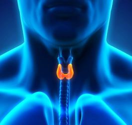 Scyntygrafia tarczycy