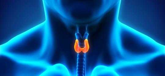 Scyntygrafia tarczycy