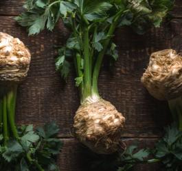 Liście i bulwy selera zwyczajnego.