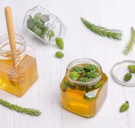 Młode pędy sosny w syropie.