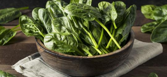 Szpinak - wartości odżywcze i lecznicze